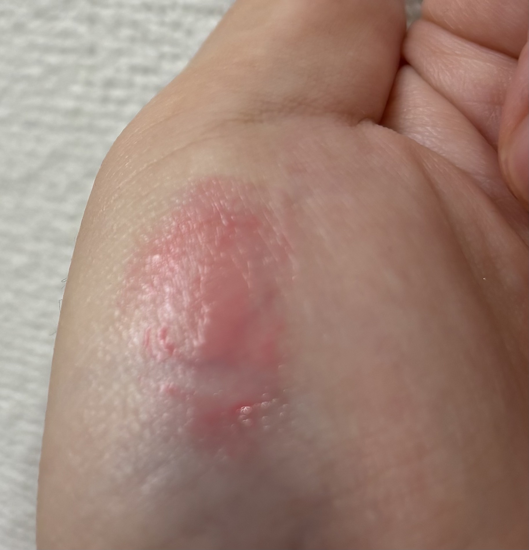 ハート ジャム グロウ リップ/PERIPERA/口紅を使ったクチコミ（2枚目）