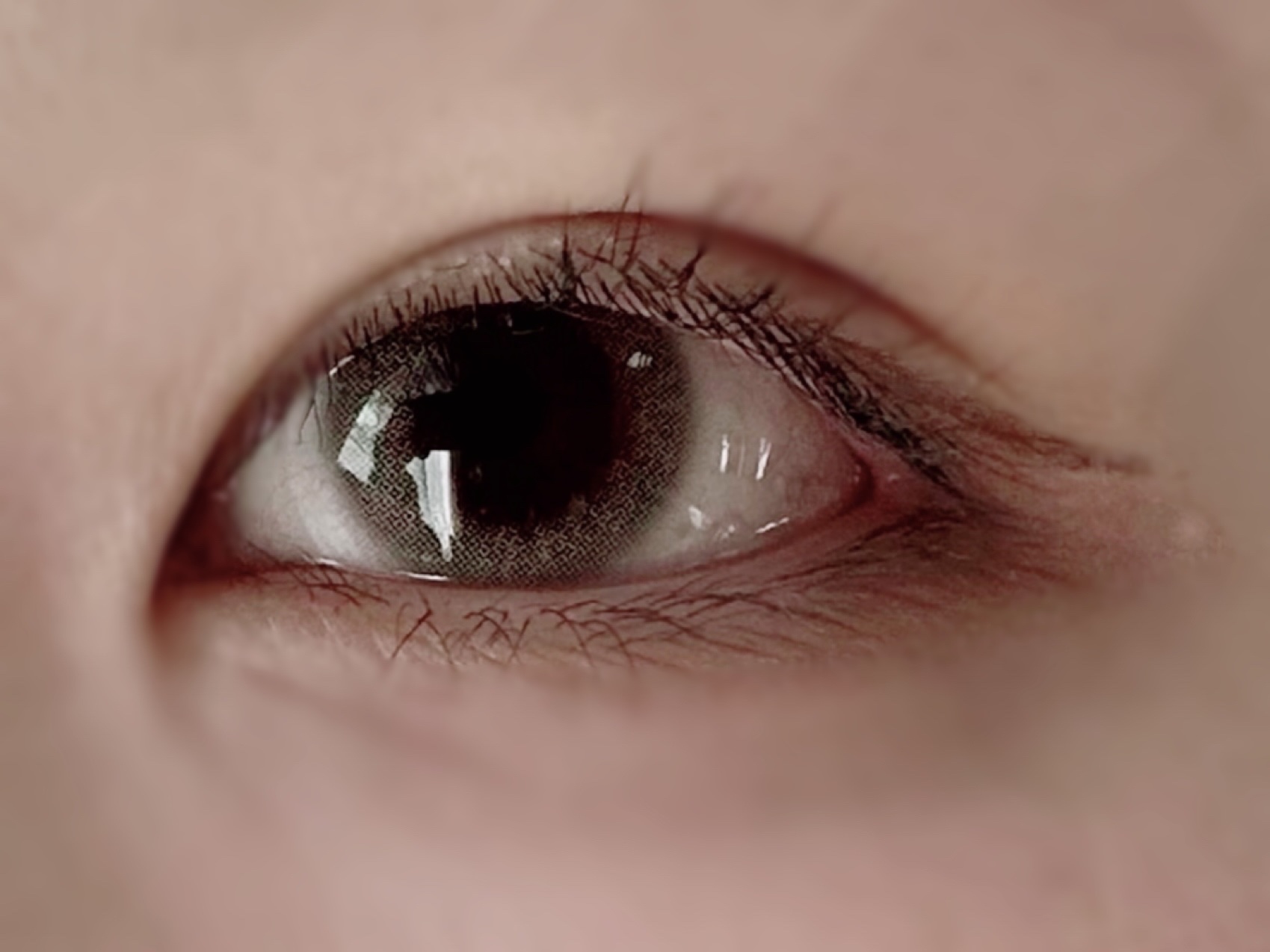 COLOR PICK  LUCID Gray/COLOR PICK/１ヶ月（１MONTH）カラコンを使ったクチコミ（2枚目）