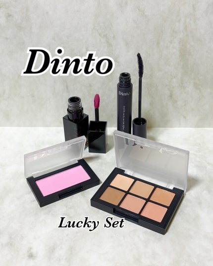 ブラーフィニシュブラッシャー/Dinto/パウダーチークを使ったクチコミ(1枚目)