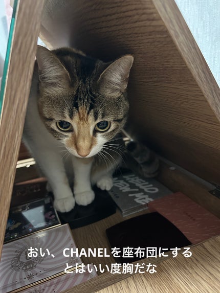 RMK シンクロマティック アイシャドウパレット EX-18 ナイーブ ナイツ/RMK/アイシャドウパレットの画像