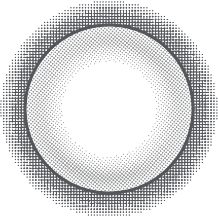 Still Ray スティルレイ