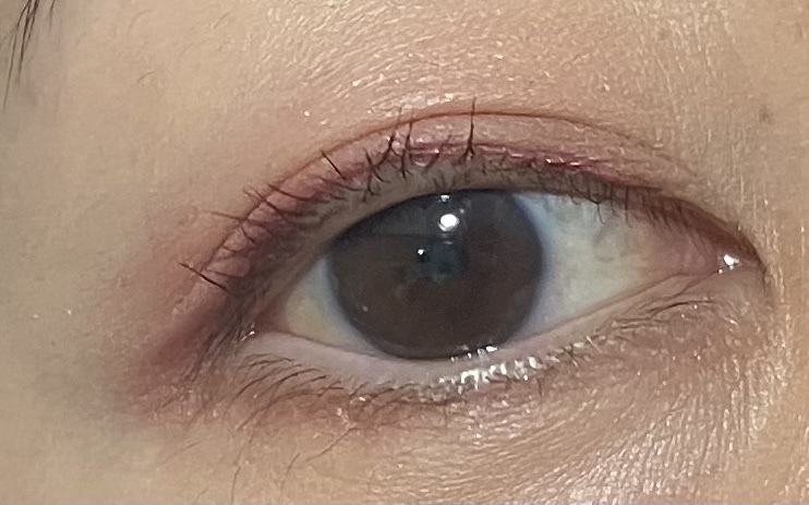 シグニチャー カラー アイズ 151 花盛 -HANAZAKARI(限定色)/SUQQU/アイシャドウパレットを使ったクチコミ（2枚目）