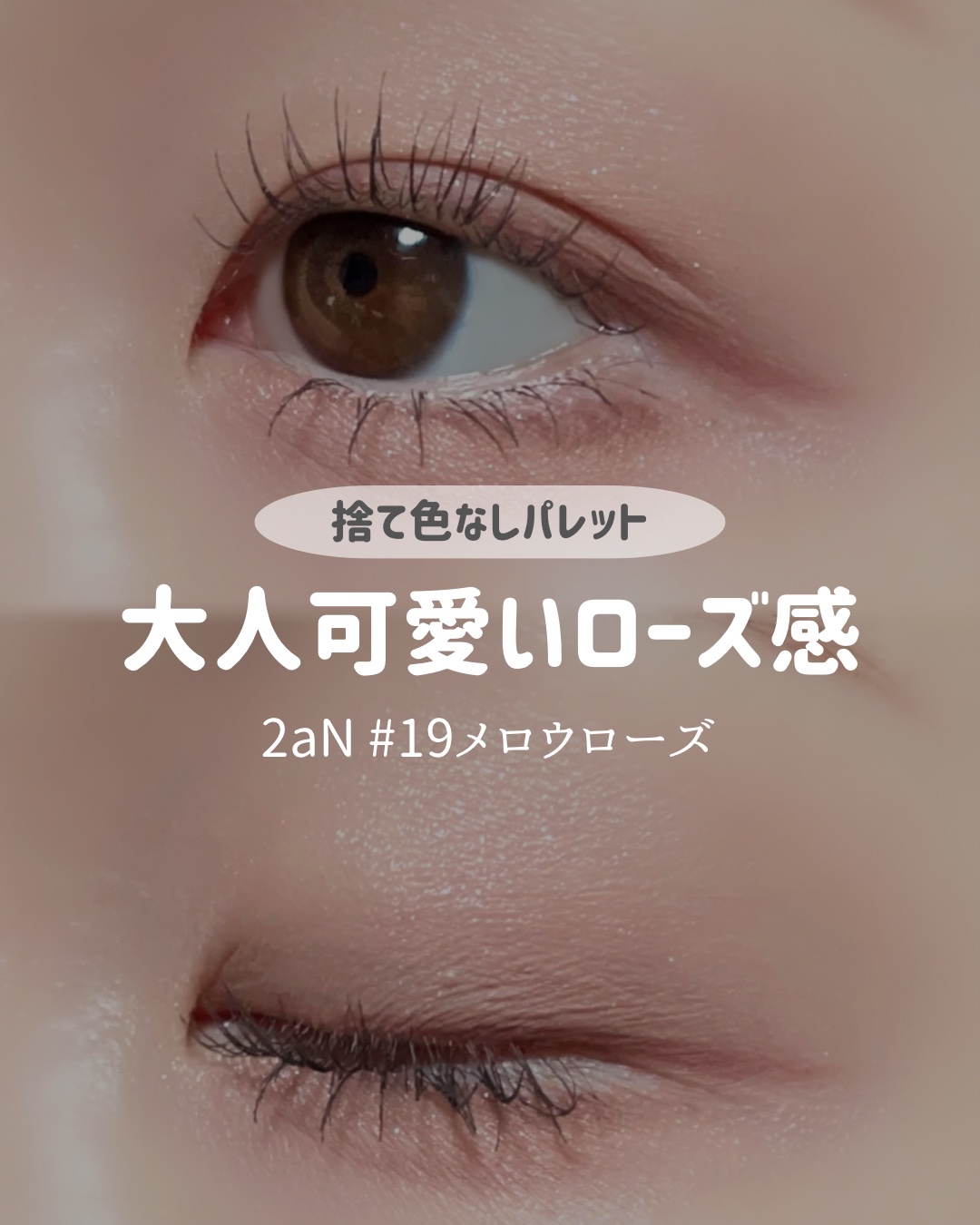 ＼これはバズる予感！2aN新作アイパレ／
────────────

🥀2aN
ベターミーアイパレット
# 19 メロウローズ

────────────


2aNのアイパレットは、
毎回「捨て色がない…」って思わせてくれる
ベストな配
