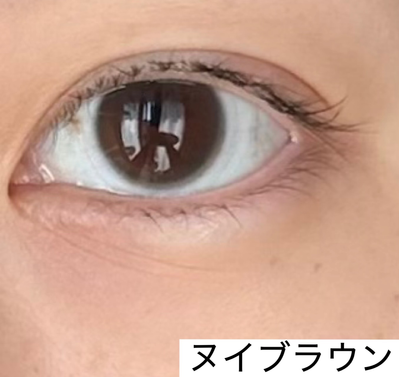 ReVIA 1day/ReVIA/ワンデー（１DAY）カラコンを使ったクチコミ（1枚目）