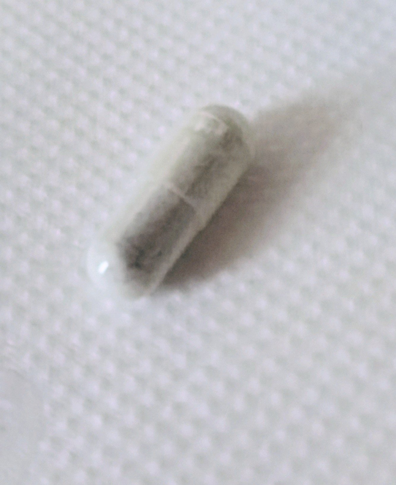 葉酸＆ヘム鉄/シードコムス/健康サプリメントを使ったクチコミ（2枚目）