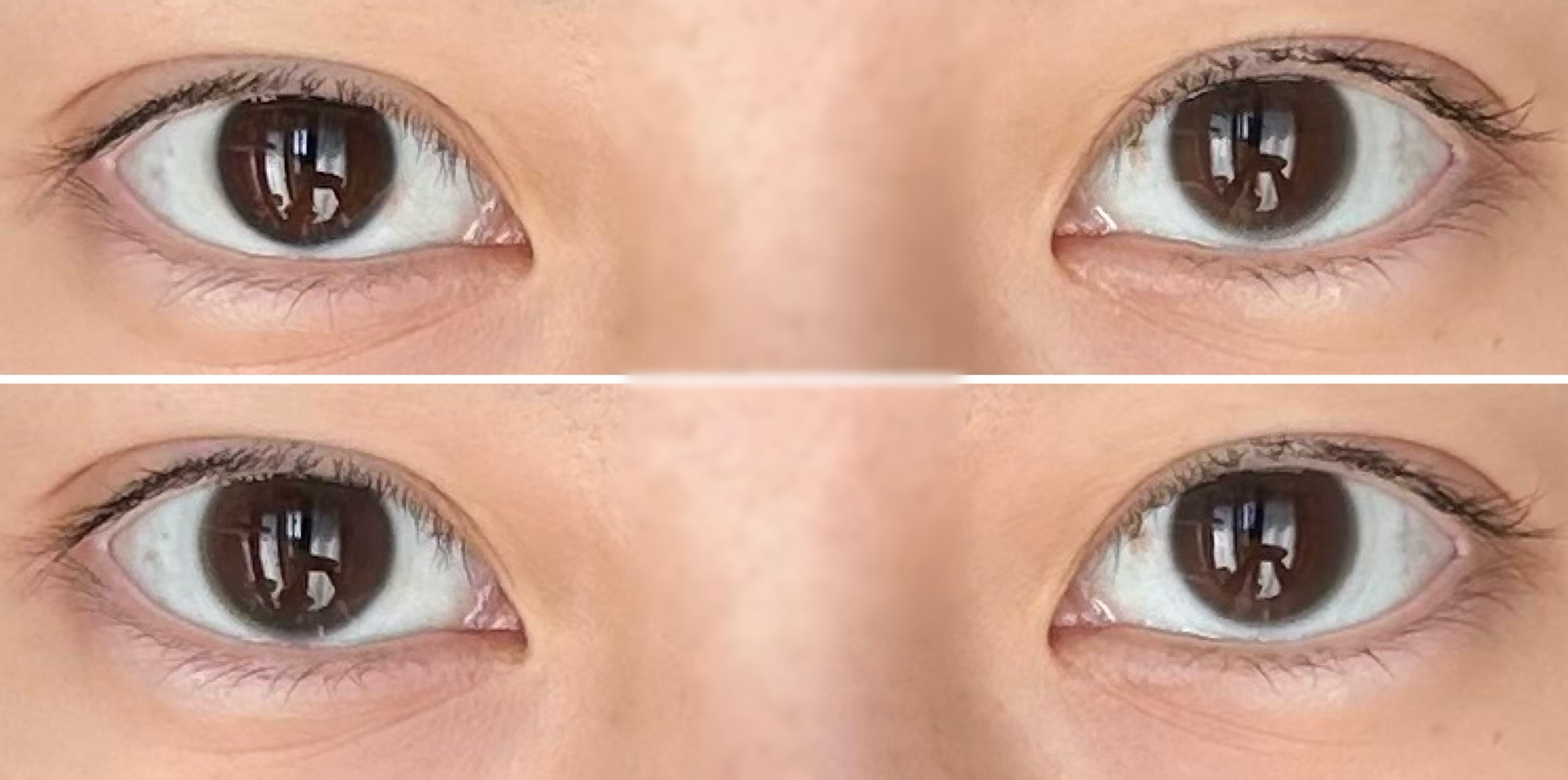 ReVIA 1day/ReVIA/ワンデー（１DAY）カラコンを使ったクチコミ（2枚目）