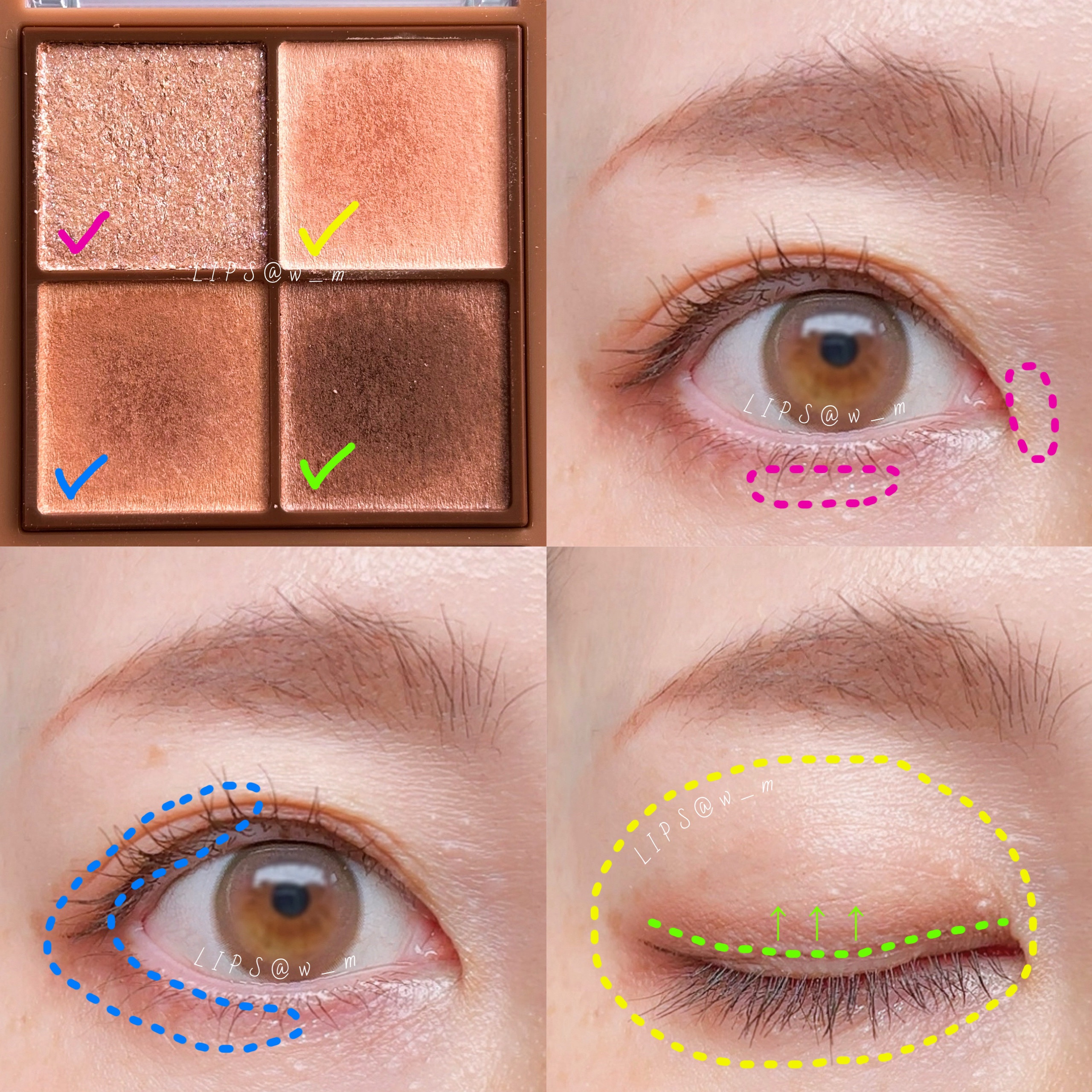 ビタートーンアイシャドウ/CEZANNE/パウダーアイシャドウを使ったクチコミ（2枚目）