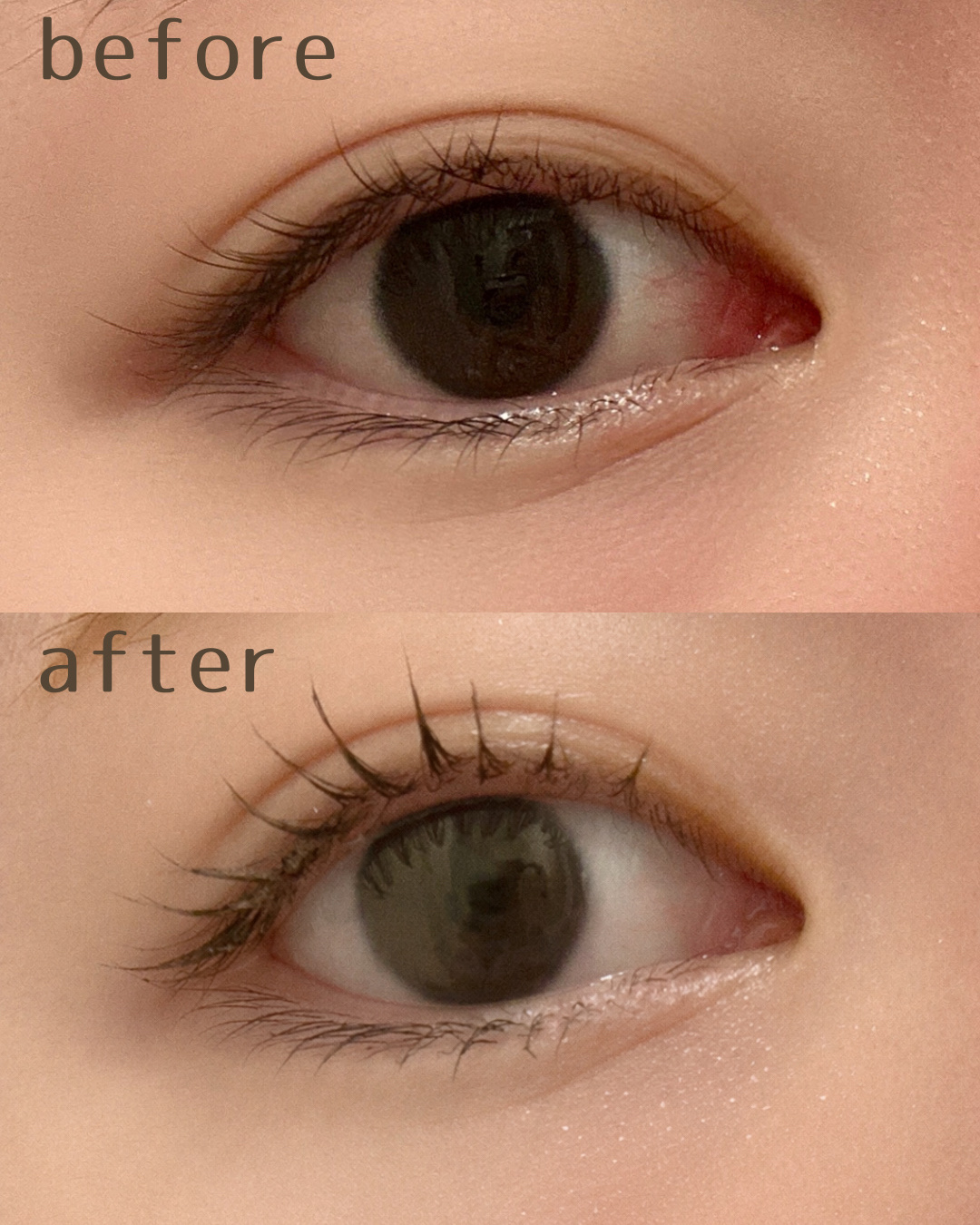 クリア マスカラR/CEZANNE/マスカラ下地を使ったクチコミ（2枚目）