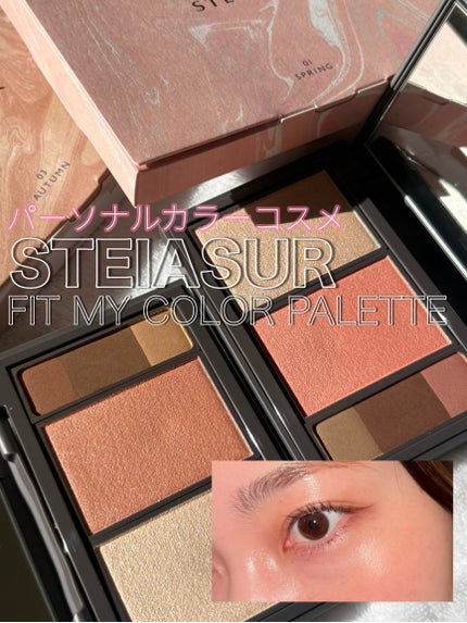 フィット my カラーパレット/STEIASUR(ステイアシュール)/マルチパレットを使ったクチコミ(1枚目)