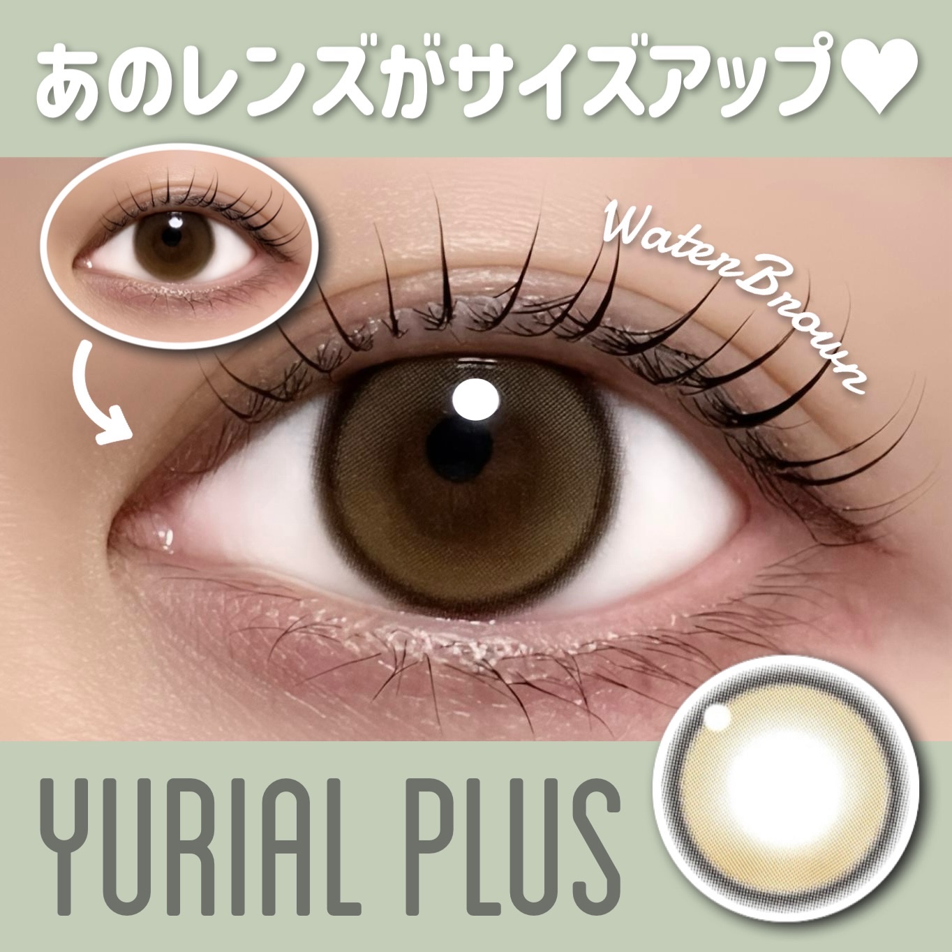 YURIAL 1DAY ウォーターブラウン/URIA/ワンデー（１DAY）カラコンを使ったクチコミ（1枚目）