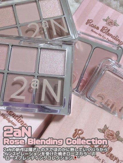 ベターミーアイパレット/2aN/マルチパレットを使ったクチコミ(2枚目)