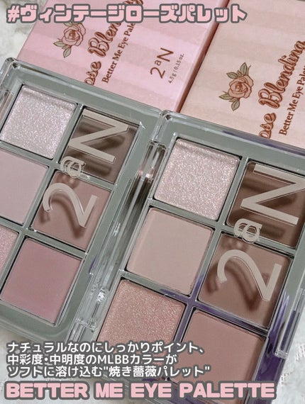 ベターミーアイパレット/2aN/マルチパレットを使ったクチコミ(3枚目)