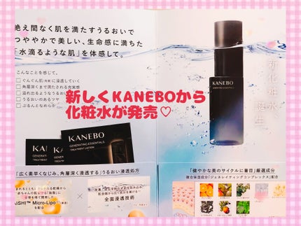 を使ったクチコミ(1枚目)