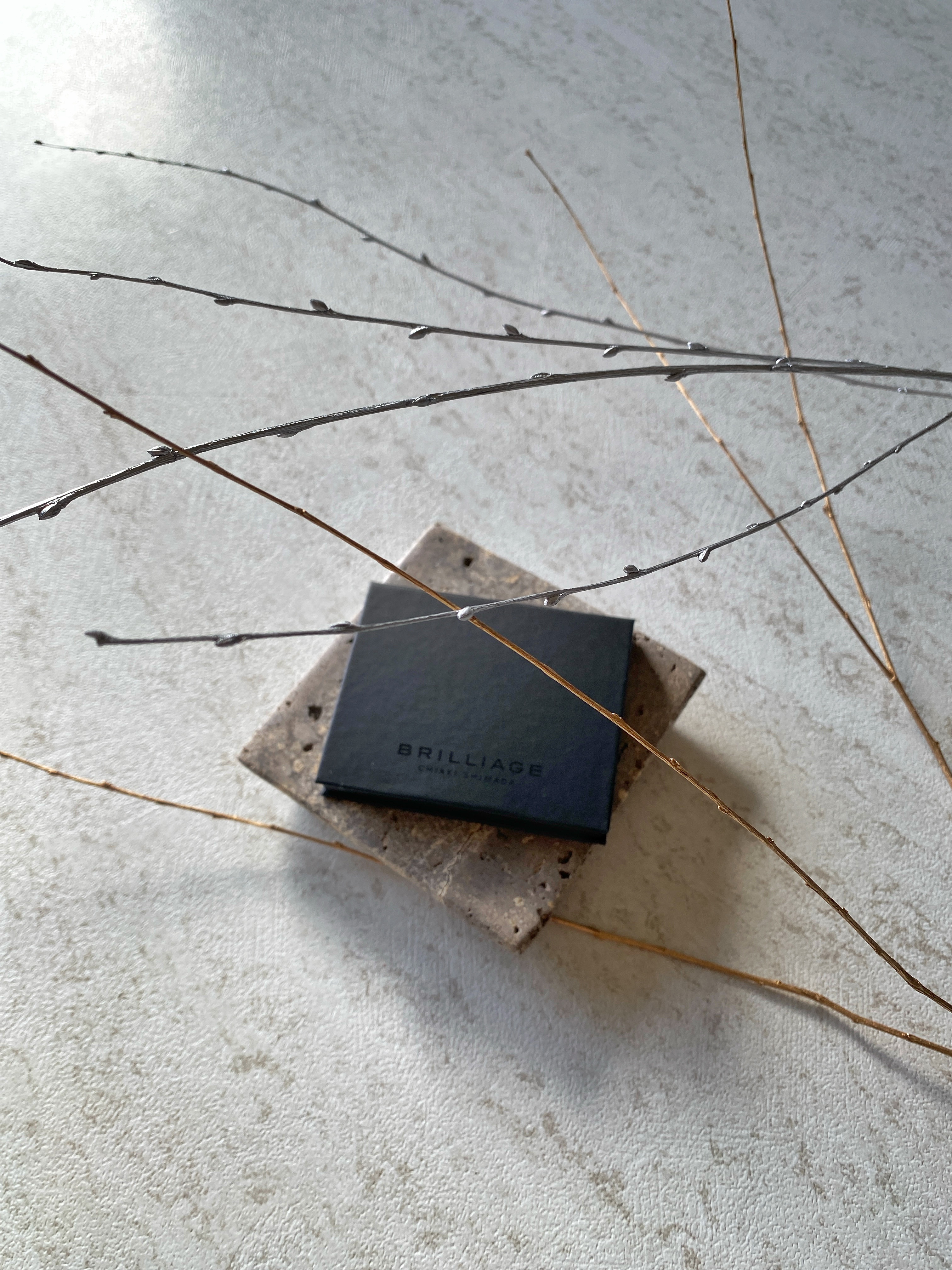 UV ブロック ベイクド パウダー バナーヌ/ブリリアージュ/プレストパウダーを使ったクチコミ（2枚目）