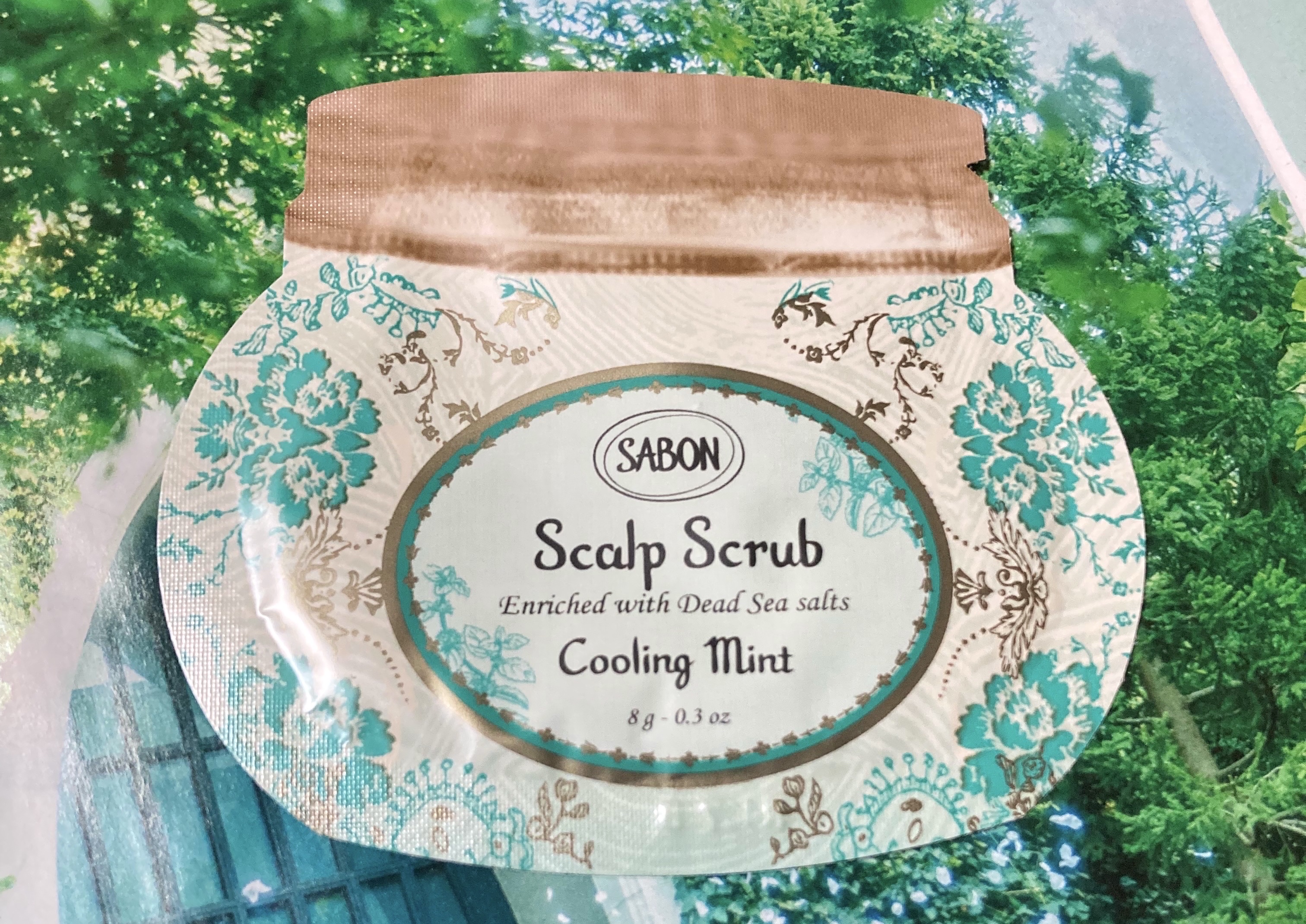 ヘッドスクラブ リフレッシング(ミント)/SABON/ヘッドスクラブを使ったクチコミ（1枚目）