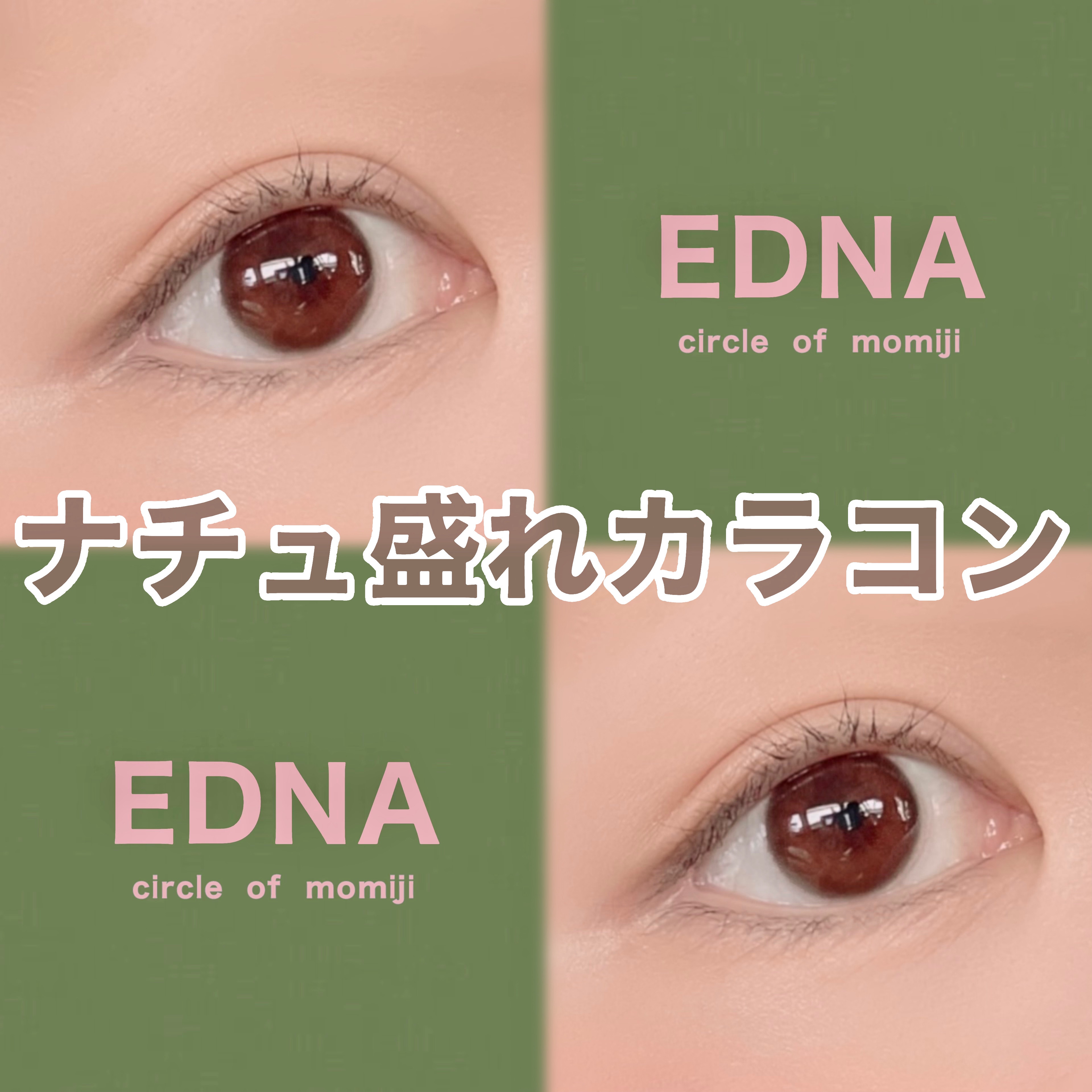 EDNA 1day/EDNA/ワンデー（１DAY）カラコンを使ったクチコミ（1枚目）