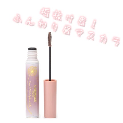 スマートミニアイブロウカラー/キャンメイク/眉マスカラを使ったクチコミ(1枚目)