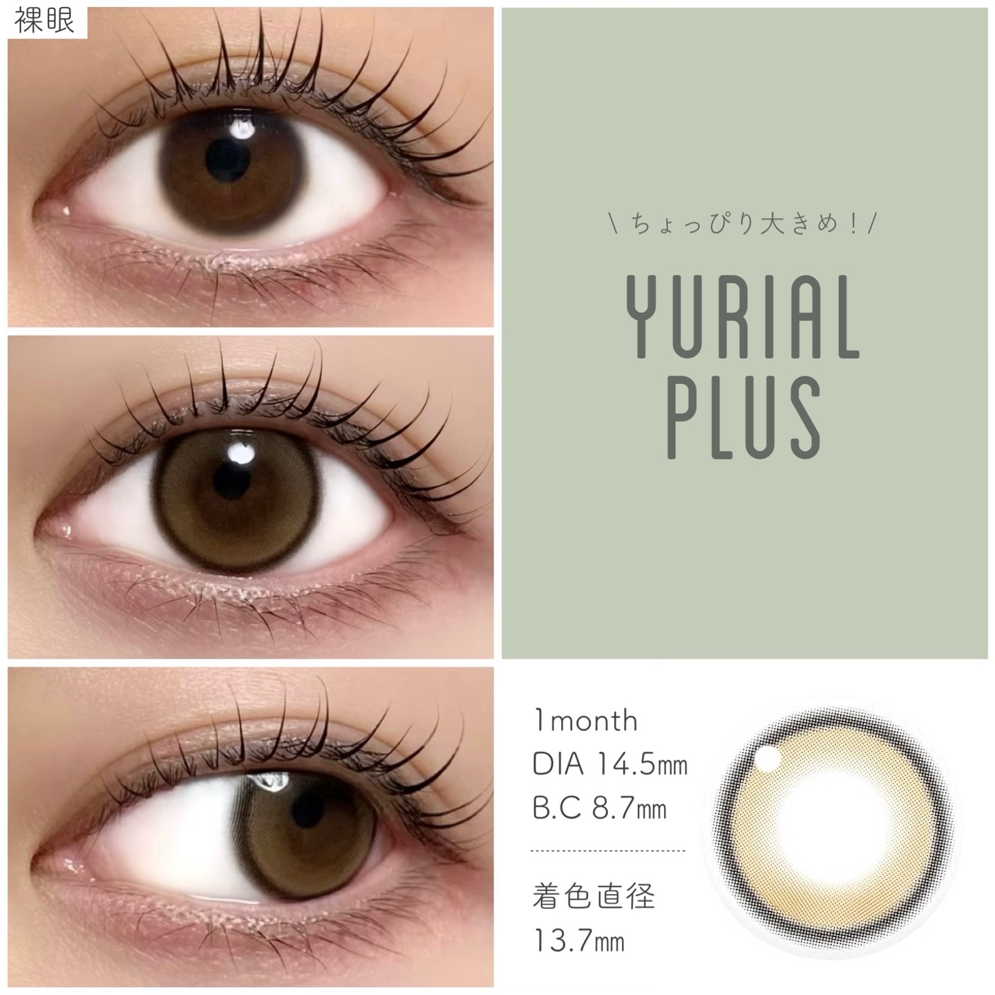 YURIAL 1DAY ウォーターブラウン/URIA/ワンデー（１DAY）カラコンを使ったクチコミ（2枚目）