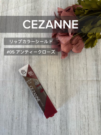リップカラーシールド 05 アンティークローズ/CEZANNE/口紅の画像
