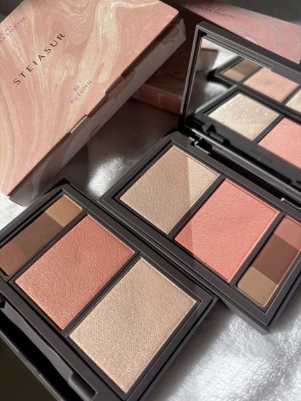 フィット my カラーパレット/STEIASUR(ステイアシュール)/マルチパレットを使ったクチコミ(2枚目)