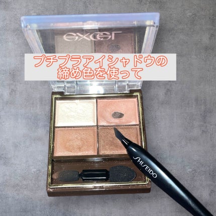 スキニーリッチシャドウ/excel/アイシャドウパレットを使ったクチコミ(3枚目)