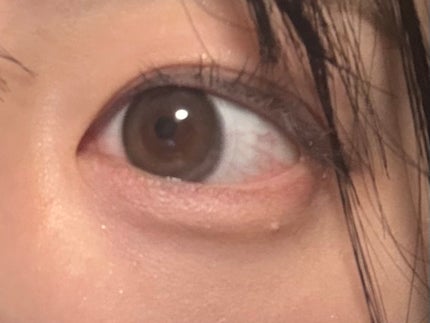 MOLAK 1month/MOLAK/1ヶ月(1MONTH)カラコンを使ったクチコミ(3枚目)