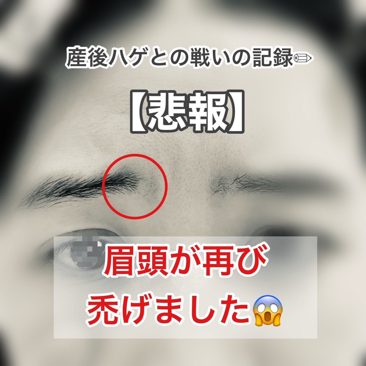 ハンオールブロウカラ/rom&nd/眉マスカラを使ったクチコミ（1枚目）