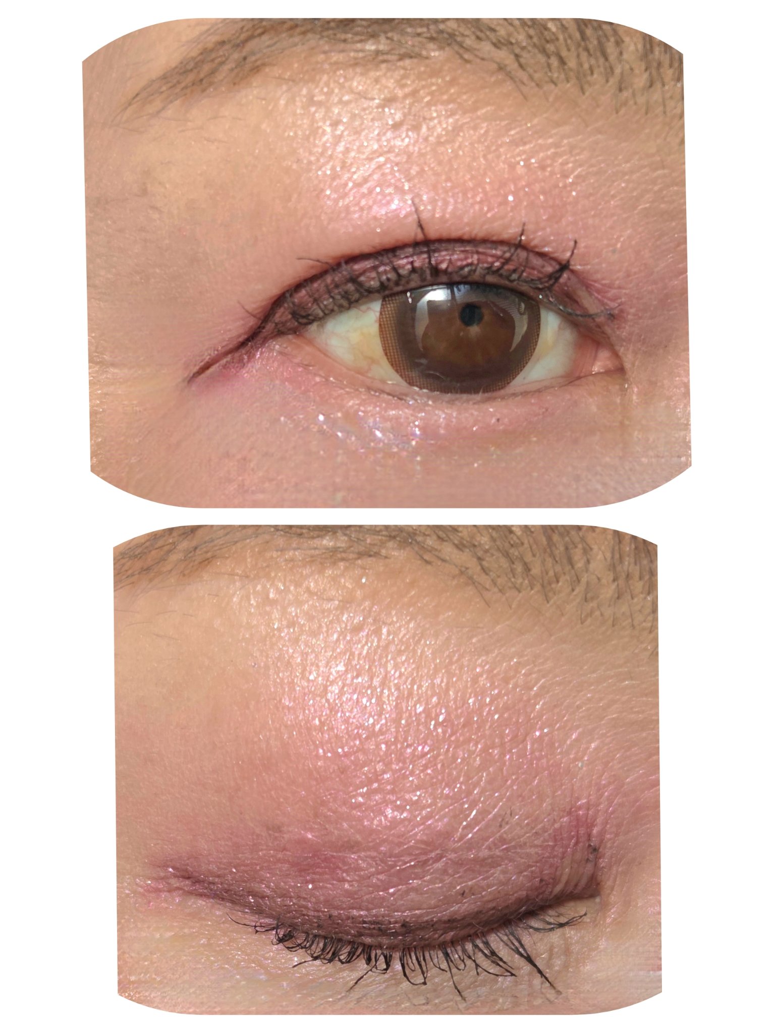 Brush 12/shu uemura/メイクブラシを使ったクチコミ（3枚目）