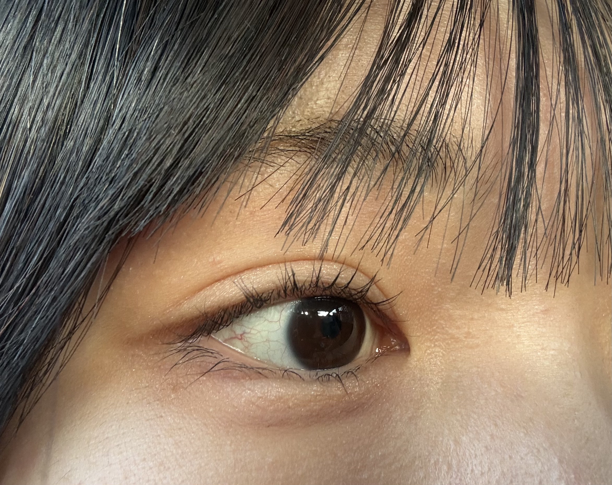 スライドインシングル M24 ダスト/rom&nd/単色アイシャドウを使ったクチコミ（3枚目）