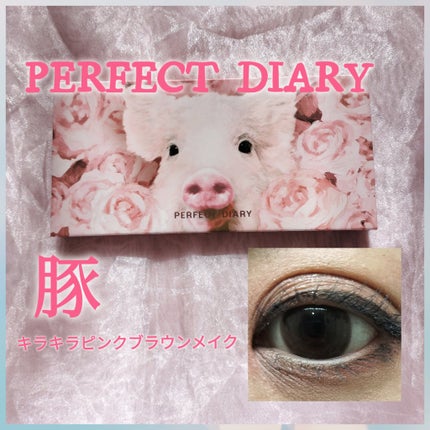 エクスプローラ12色 動物アイシャドウパレット/PERFECT DIARY/アイシャドウパレットを使ったクチコミ(1枚目)