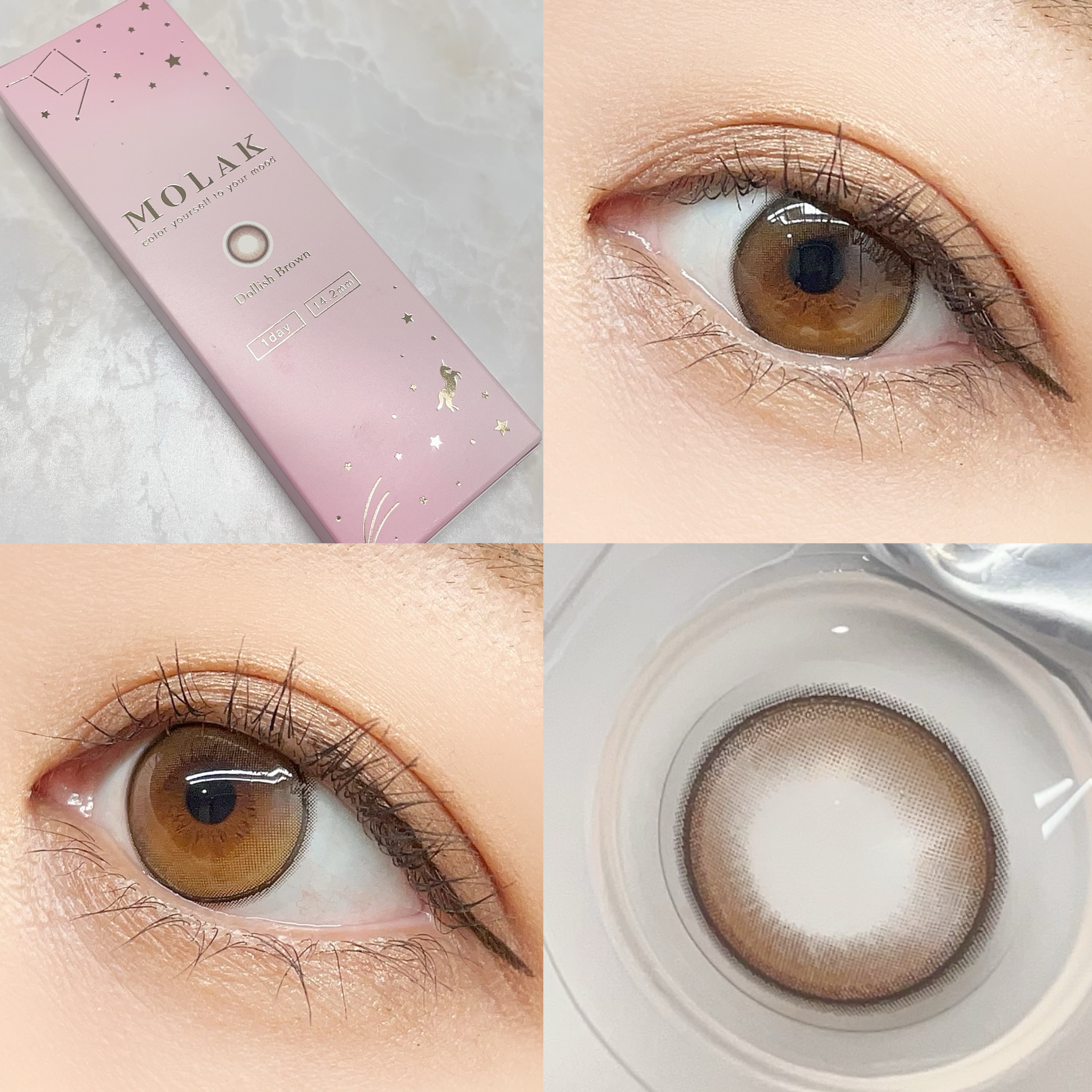 MOLAK 1day ドーリッシュブラウン/MOLAK/ワンデー（１DAY）カラコンを使ったクチコミ（3枚目）