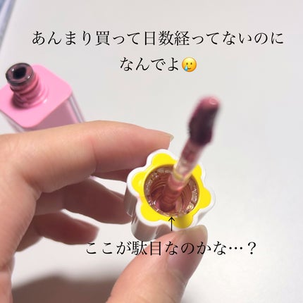 デューティント/AMUSE/リップティントを使ったクチコミ(4枚目)