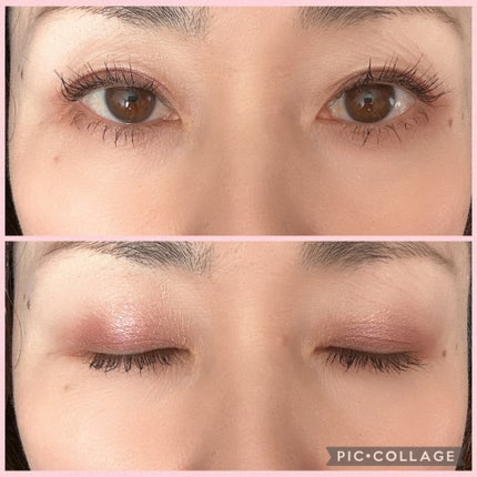 アイスカルプト/shu uemura/アイシャドウパレットを使ったクチコミ(3枚目)