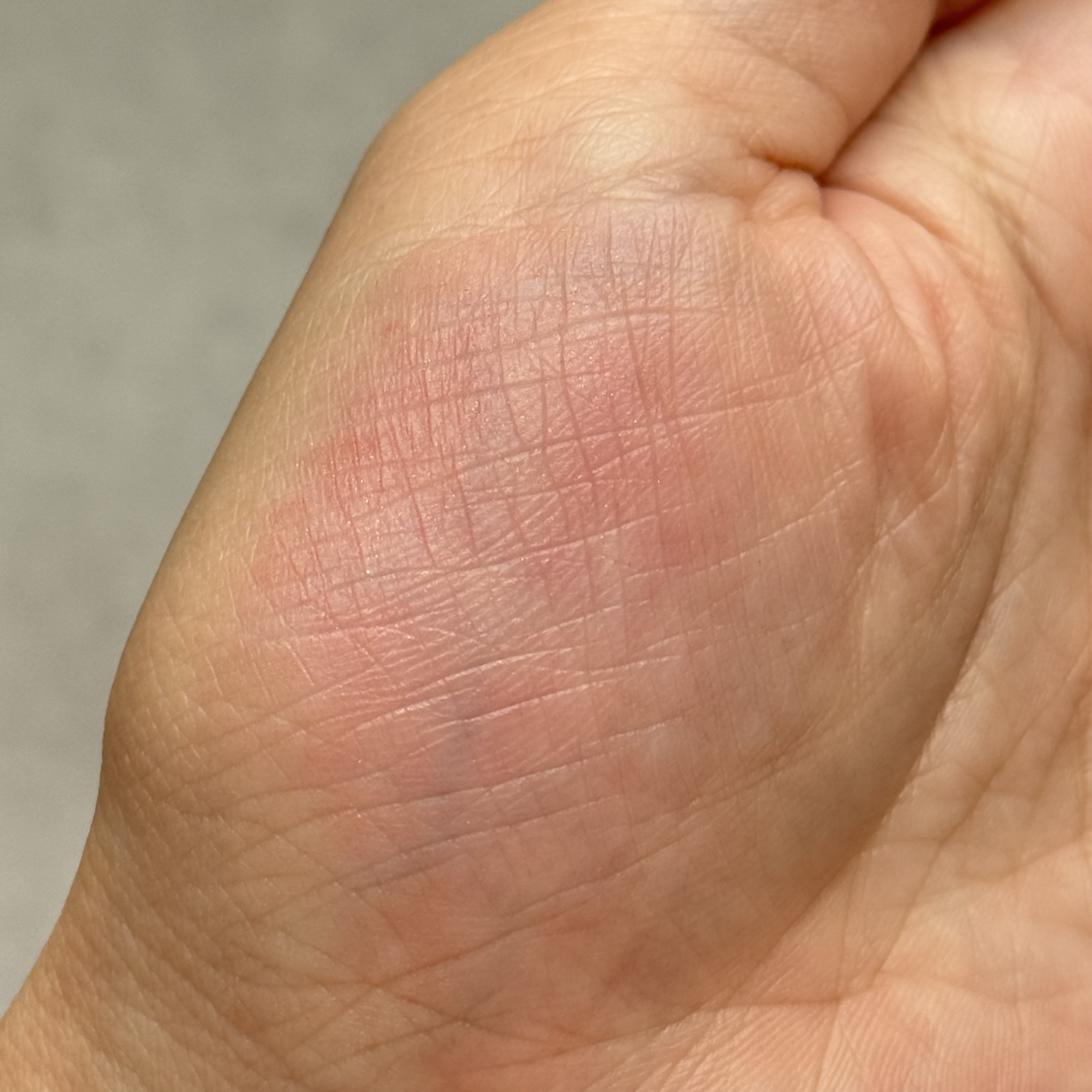 CACフェイスカラー 柘榴(ざくろ)/CAC/パウダーチークを使ったクチコミ（3枚目）