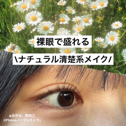 フェアリーカールマスカラ/upink/マスカラを使ったクチコミ(1枚目)