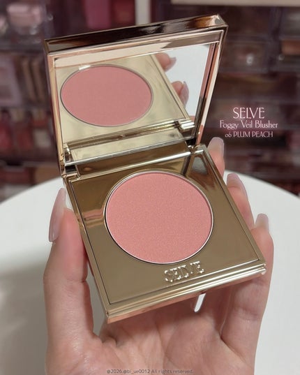 フォギーヴェールブラッシャー/SELVE/パウダーチークを使ったクチコミ(2枚目)