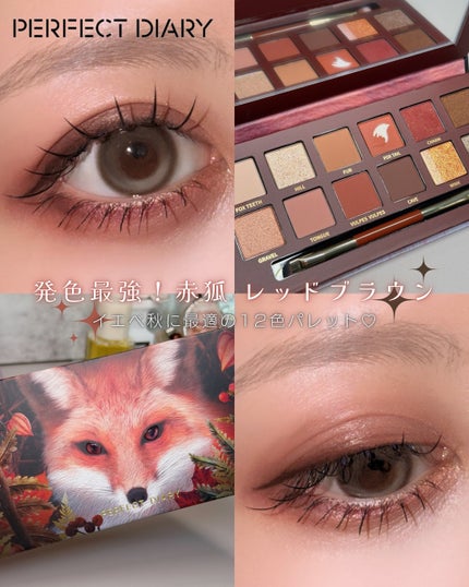 エクスプローラ12色 動物アイシャドウパレット/PERFECT DIARY/アイシャドウパレットを使ったクチコミ(1枚目)