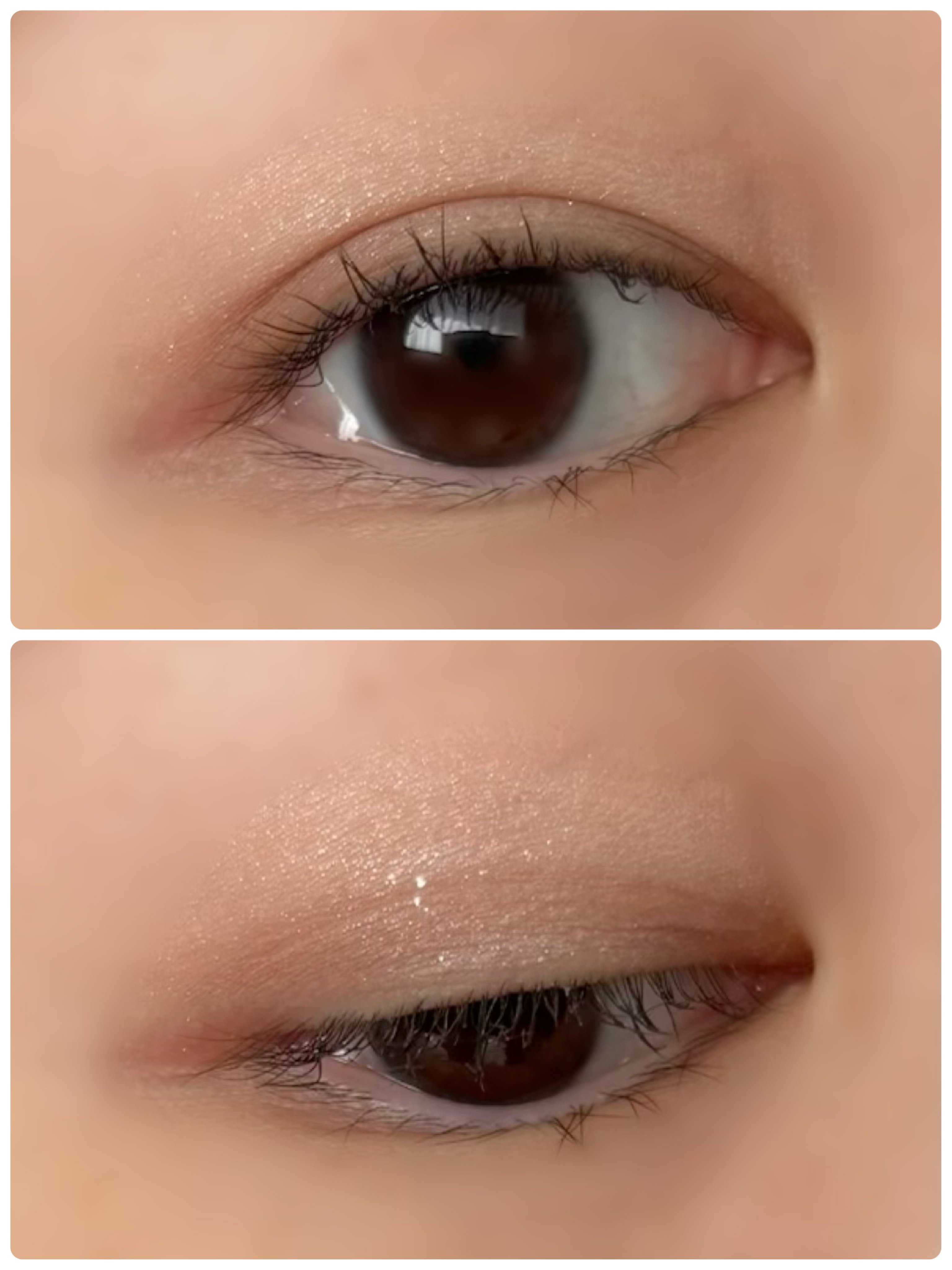 THE アイパレR/b idol/アイシャドウパレットを使ったクチコミ（2枚目）