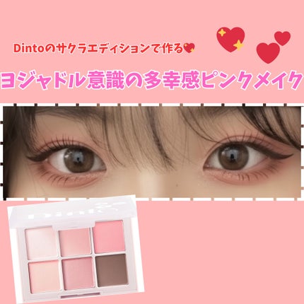 ブラーフィニシュシャドウパレット/Dinto/アイシャドウパレットを使ったクチコミ(1枚目)