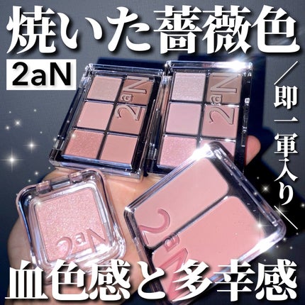 デュアルチーク/2aN/パウダーチークを使ったクチコミ(1枚目)