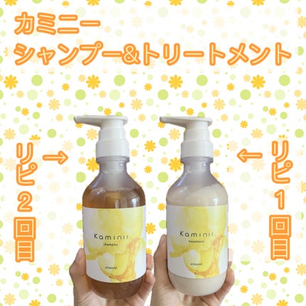 リッチモイストシャンプー/トリートメント/Kaminii/市販シャンプーを使ったクチコミ(1枚目)