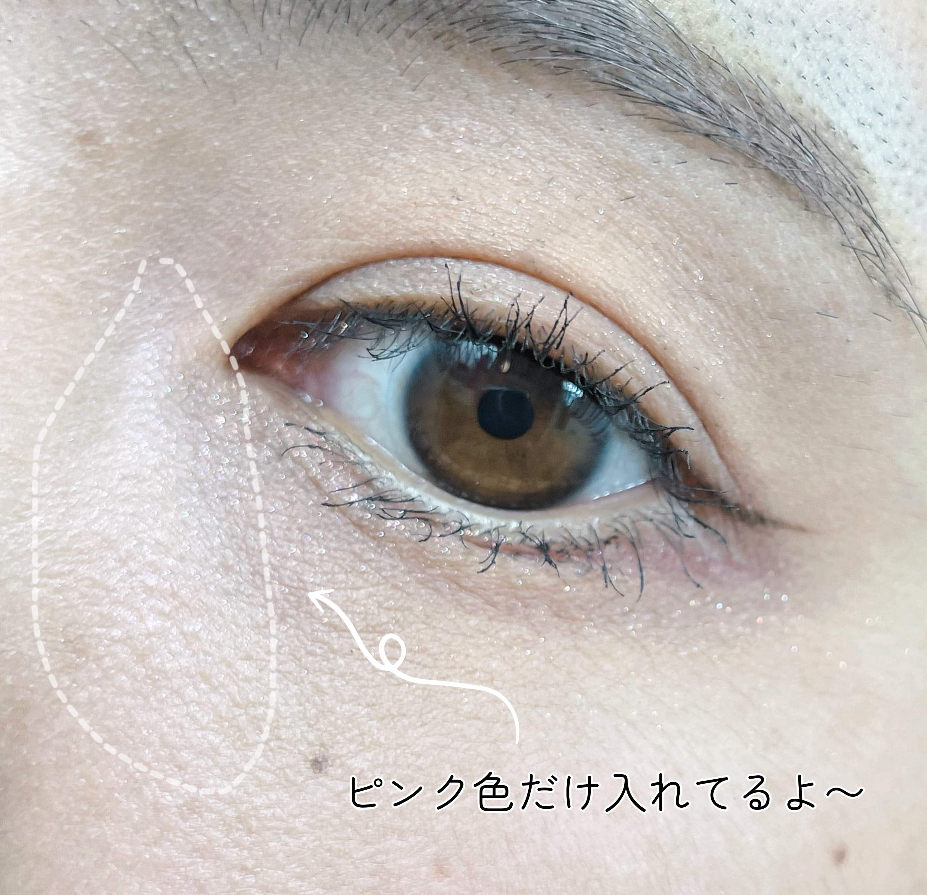 パールグロウハイライト　SP3/CEZANNE/ハイライトを使ったクチコミ（3枚目）