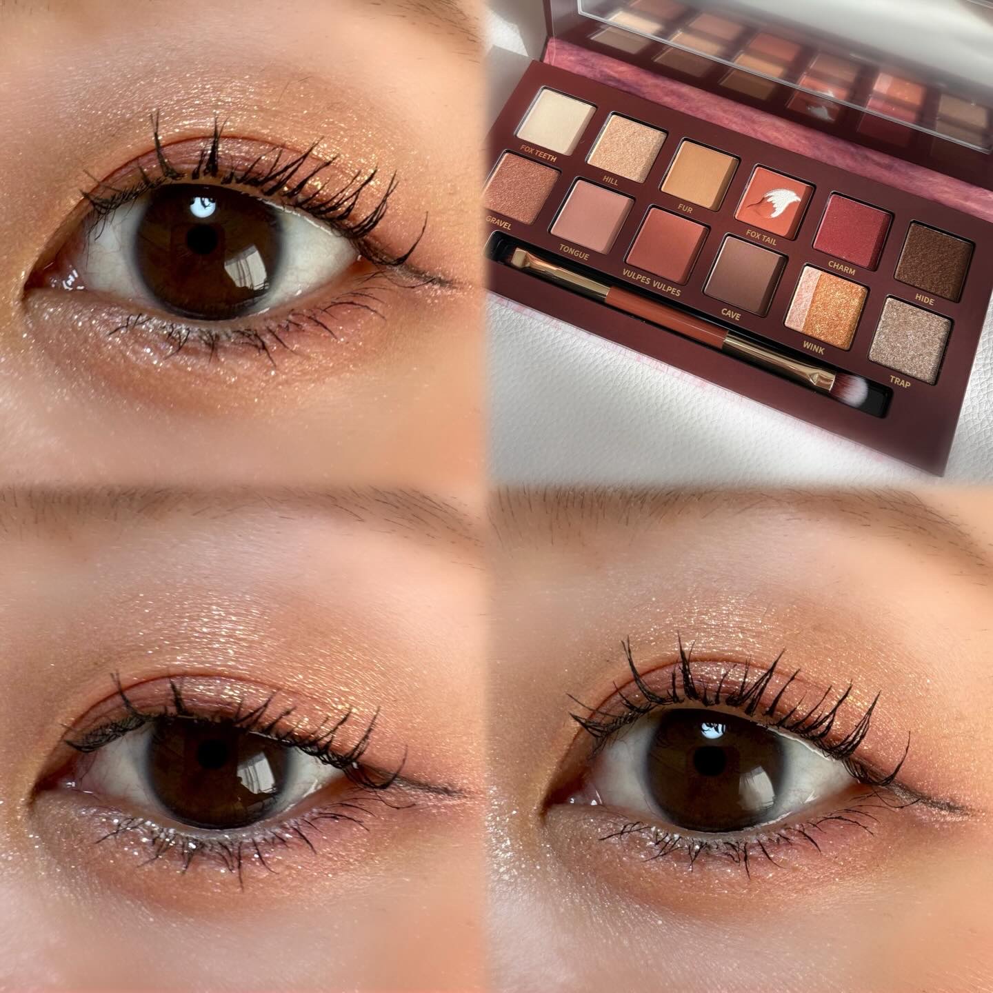 エクスプローラ12色 動物アイシャドウパレット/PERFECT DIARY/アイシャドウパレットを使ったクチコミ（3枚目）