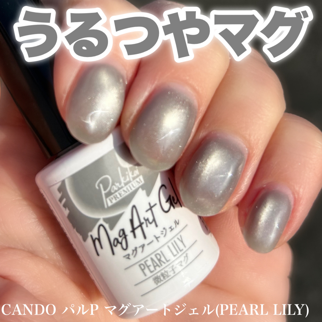 パルP マグアートジェル/parkikoi/ジェルネイルを使ったクチコミ（1枚目）
