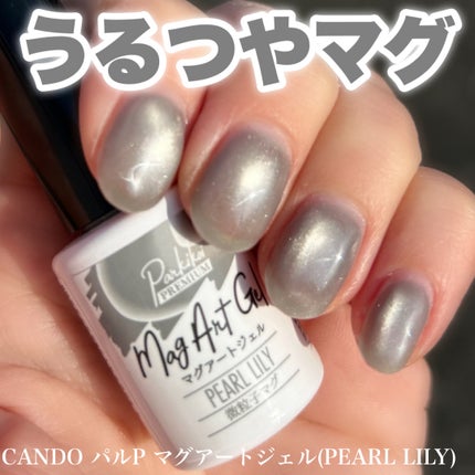 パルP マグアートジェル/parkikoi/ジェルネイルを使ったクチコミ(1枚目)