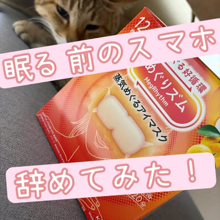 めぐりズム 蒸気めぐるアイマスク 完熟ゆずの香り 12枚入/めぐりズム/ホットアイマスクの画像