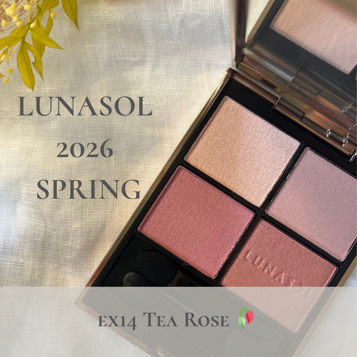 ルナソル アイカラーレーションN/LUNASOL/アイシャドウパレットを使ったクチコミ（1枚目）