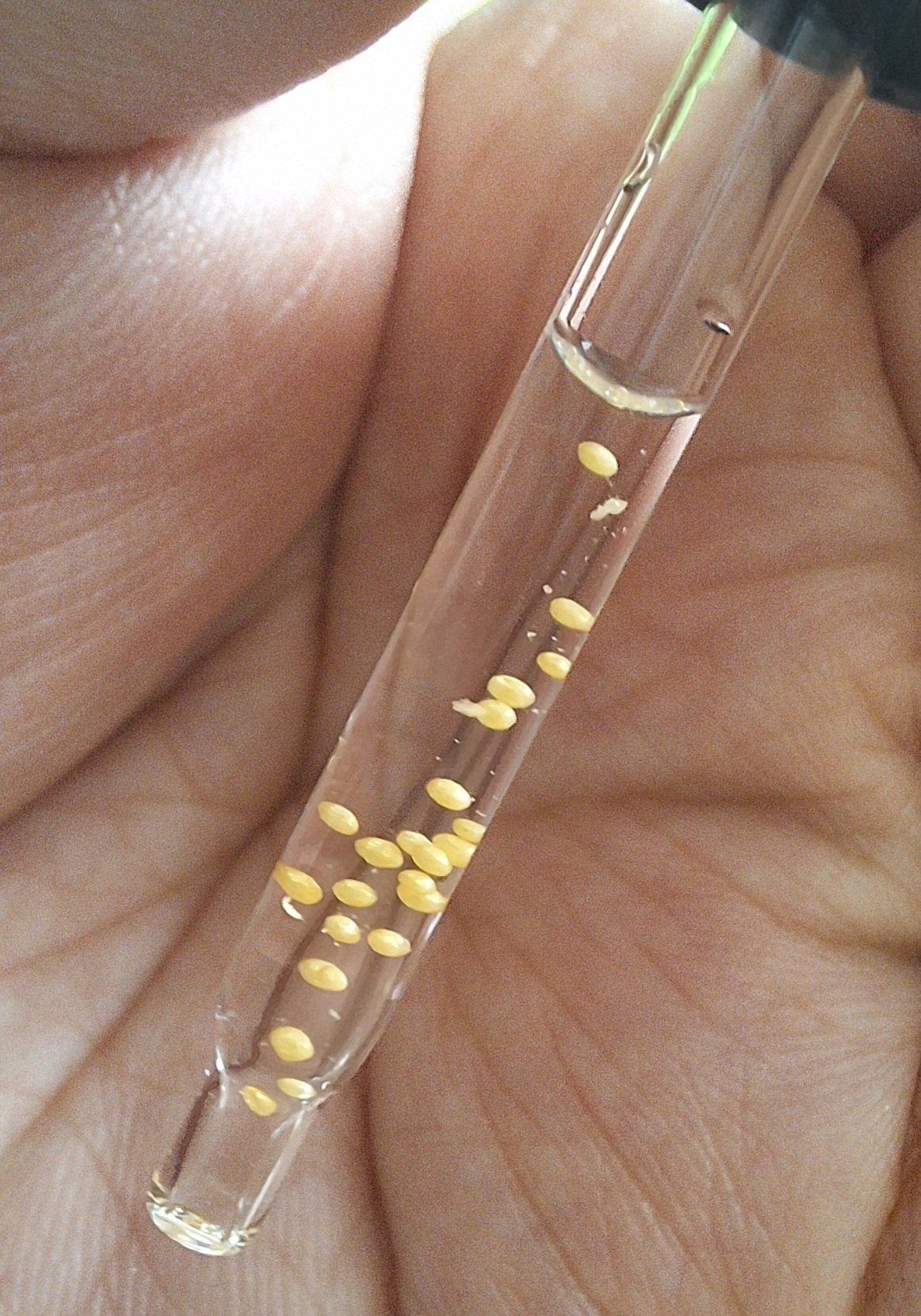 アベイユ ロイヤル ウォータリー オイル セロム/GUERLAIN/美容液を使ったクチコミ（3枚目）