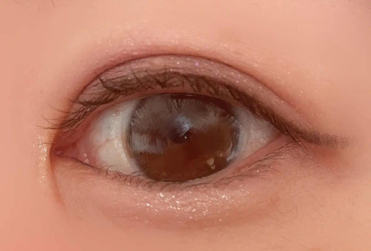 ビーマイベストフレンズハウスパレット 02 Rosy Bunny/Milk Touch/アイシャドウパレットを使ったクチコミ（3枚目）