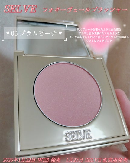 フォギーヴェールブラッシャー/SELVE/パウダーチークを使ったクチコミ(1枚目)